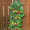 Twee Aardbeien Plantbuidels & 9 Hangaardbeien