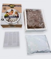 Champignon Kweek Collectie 8 Champignon Kweek Collectie - Afbeelding 6