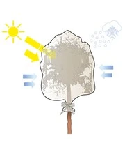 Plantenbeschermingshoes 'Sneeuwvlok' 110x110cm 6 Plantenbeschermingshoes 'Sneeuwvlok' 110x110cm - Afbeelding 4